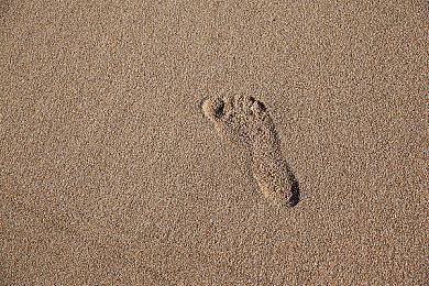 新《神鬼寓言》没亮相E3 Xbox总监：请相信开发商实力